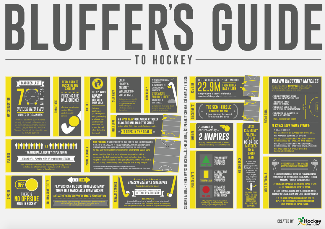 Bluffers Guide to Hockey PDF